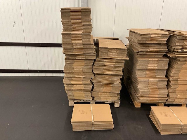 Partij biobuddi kartonnen dozen en stroken - afbeelding 5 van  10