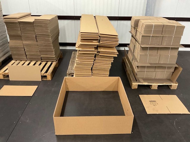 Partij biobuddi kartonnen dozen en stroken - afbeelding 11 van  12