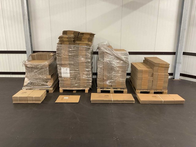 Partij biobuddi kartonnen dozen - afbeelding 1 van  10