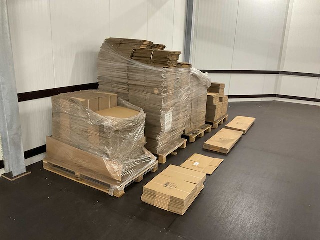 Partij biobuddi kartonnen dozen - afbeelding 3 van  10