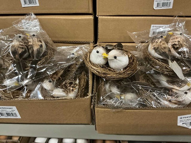 Partij bird’s nest d10cm (110x) - afbeelding 1 van  3