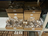 Partij bird’s nest d10cm (110x) - afbeelding 2 van  3