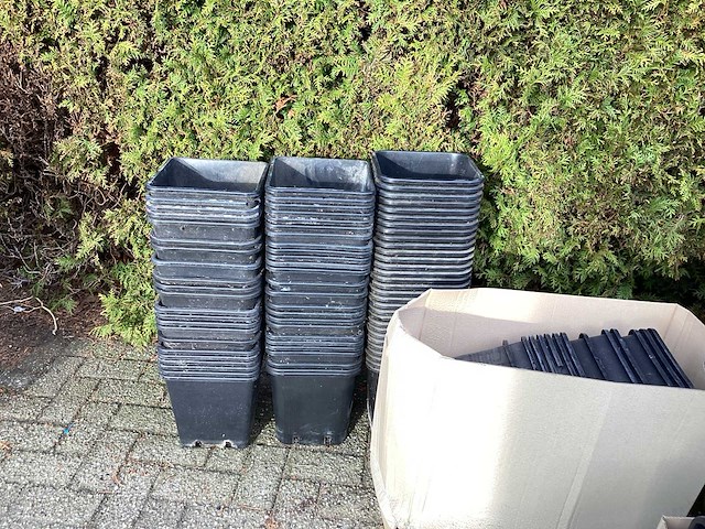 Partij bloembakken - afbeelding 3 van  10
