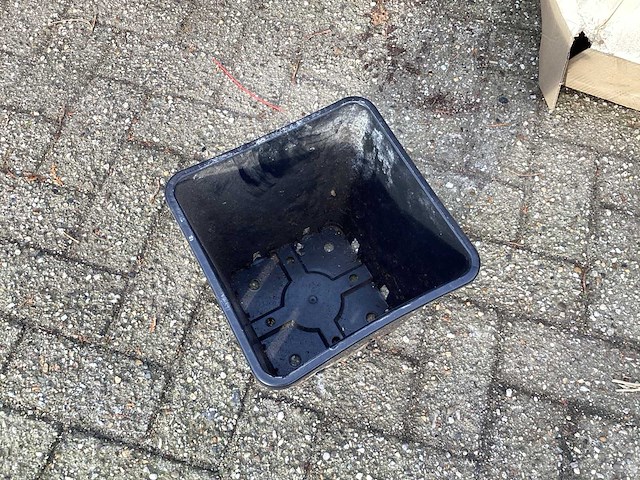 Partij bloembakken - afbeelding 5 van  10