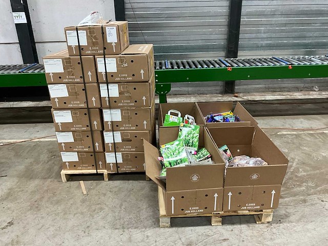 Partij bloembollen - afbeelding 2 van  5