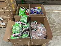 Partij bloembollen - afbeelding 3 van  5