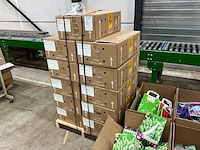 Partij bloembollen - afbeelding 4 van  5