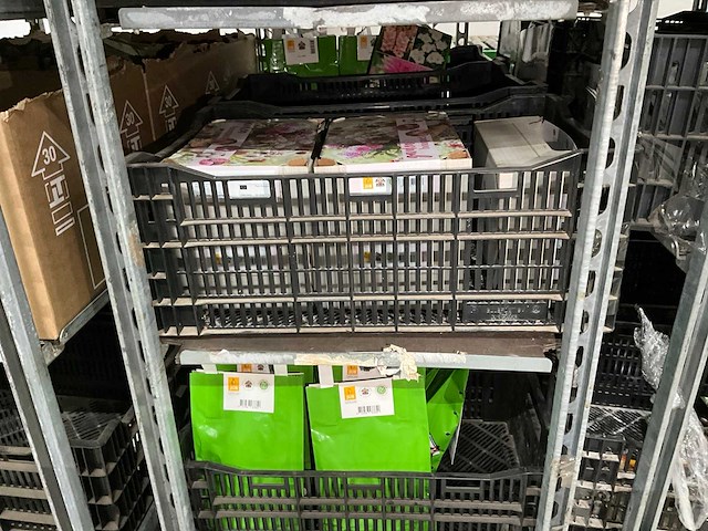 Partij bloembollen - afbeelding 1 van  11