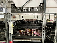 Partij bloembollen - afbeelding 3 van  11