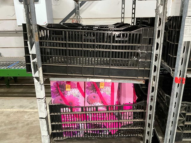 Partij bloembollen - afbeelding 5 van  11