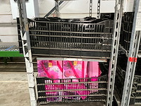 Partij bloembollen - afbeelding 5 van  11