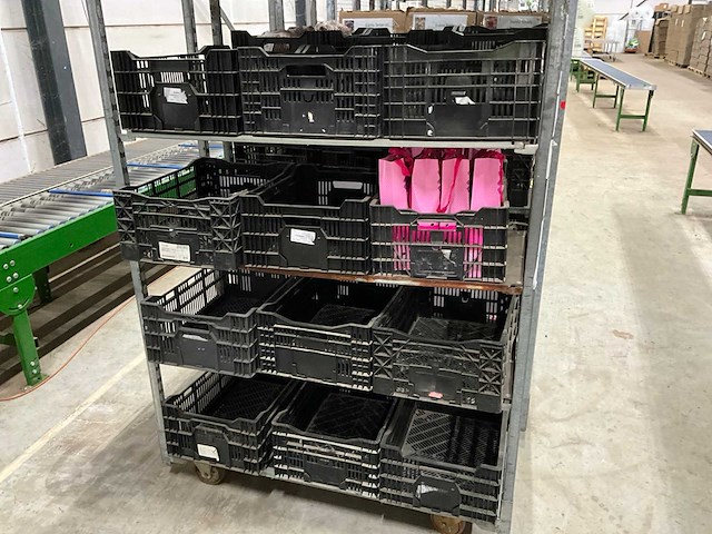 Partij bloembollen - afbeelding 6 van  11