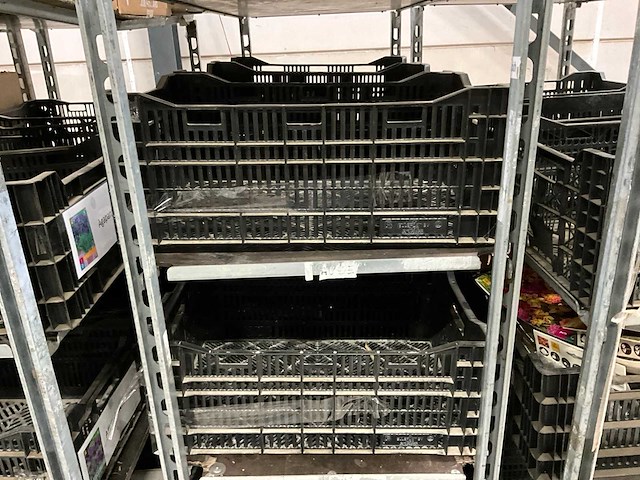 Partij bloembollen - afbeelding 8 van  11