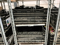 Partij bloembollen - afbeelding 8 van  11