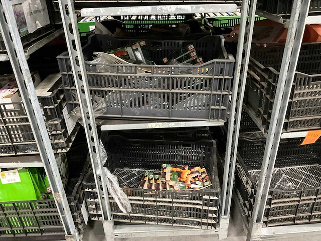 Partij bloembollen - afbeelding 9 van  11