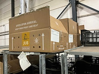 Partij bloembollen - afbeelding 10 van  11