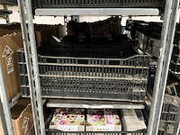 Partij bloembollen - afbeelding 11 van  11