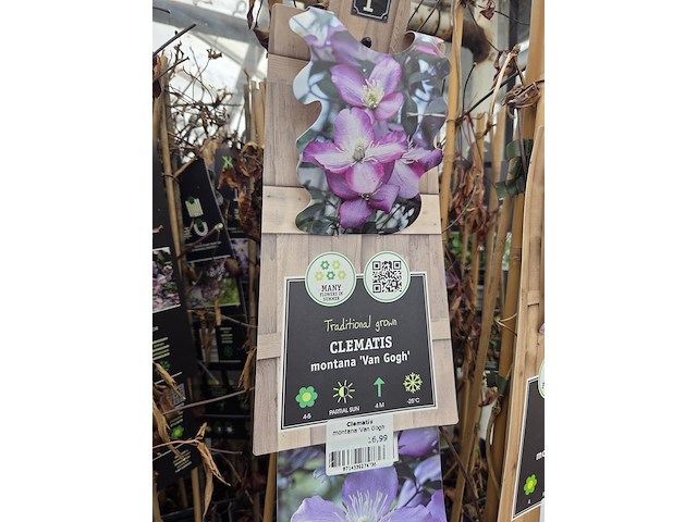 Partij bloemen - afbeelding 5 van  11