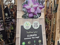 Partij bloemen - afbeelding 5 van  11