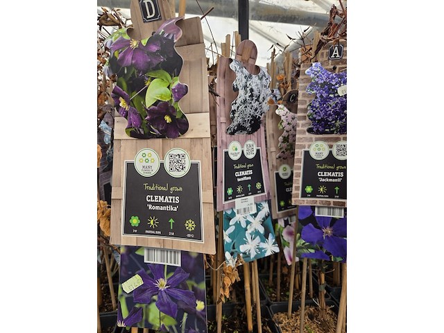 Partij bloemen - afbeelding 7 van  11