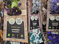 Partij bloemen - afbeelding 7 van  11