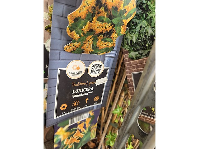 Partij bloemen - afbeelding 10 van  11