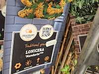 Partij bloemen - afbeelding 10 van  11