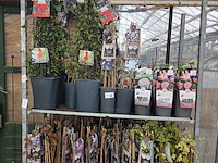 Partij bloemen - afbeelding 1 van  10