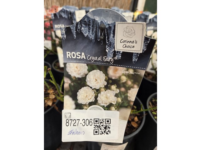 Partij bloemen - afbeelding 4 van  8