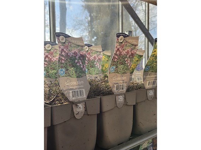 Partij bloemen - afbeelding 2 van  11