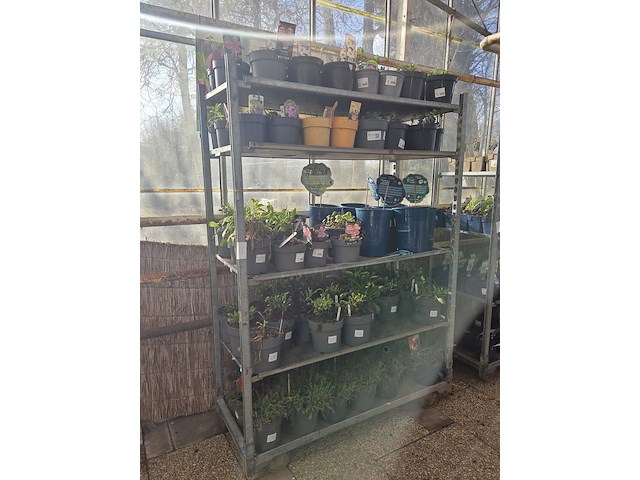 Partij bloemen - afbeelding 1 van  9