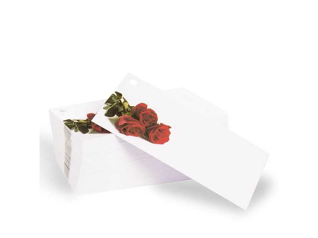 Partij bloemisterij benodigheden (circa 329 pallets) - afbeelding 75 van  203