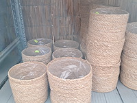 Partij bloemmanden o.a. ts collection - afbeelding 8 van  12