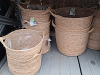 Partij bloemmanden o.a. ts collection - afbeelding 12 van  12