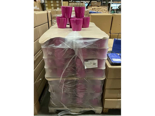 Partij bloempotten fuschiakleur ø14cm/h12,8cm (300x) - afbeelding 4 van  4