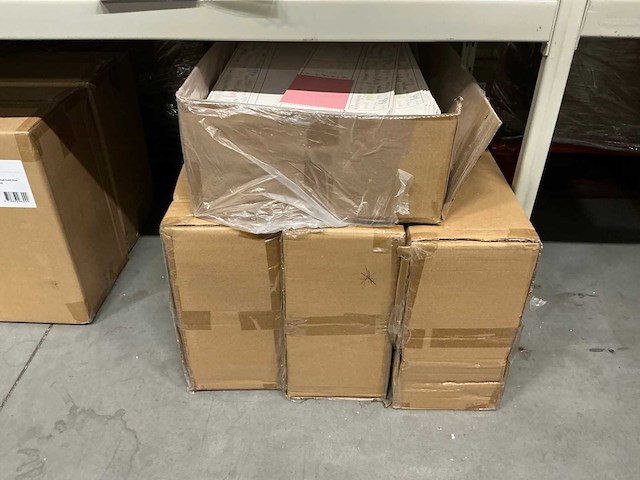 Partij bloomgift 67x10,5x7cm - afbeelding 2 van  2