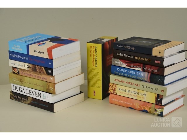 Partij boeken: "romans" - afbeelding 1 van  4