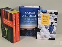 Partij boeken: "romans" - afbeelding 2 van  4