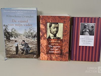 Partij boeken: "romans" - afbeelding 3 van  4