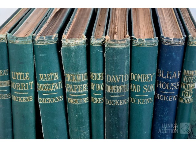 Partij boeken - afbeelding 3 van  13