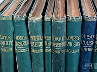 Partij boeken - afbeelding 3 van  13