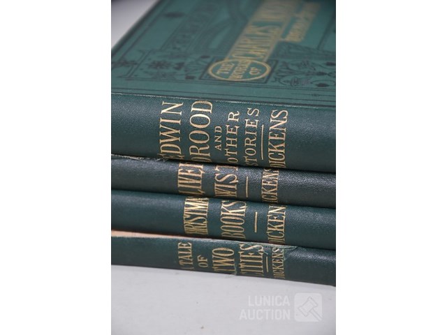 Partij boeken - afbeelding 5 van  13