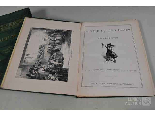 Partij boeken - afbeelding 7 van  13