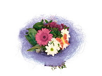 Partij boekethouders (circa 297 pallets) - afbeelding 25 van  72