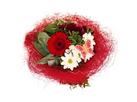 Partij boekethouders (circa 297 pallets) - afbeelding 32 van  72