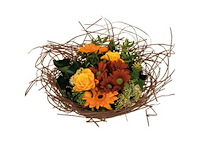 Partij boekethouders (circa 297 pallets) - afbeelding 35 van  72