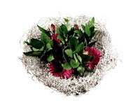 Partij boekethouders (circa 297 pallets) - afbeelding 51 van  72