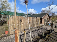 Partij bomen en planten in pot - afbeelding 5 van  91