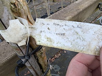 Partij bomen en planten in pot - afbeelding 82 van  91