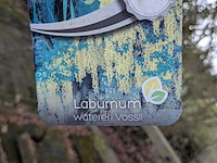 Partij bomen en planten in pot - afbeelding 90 van  91